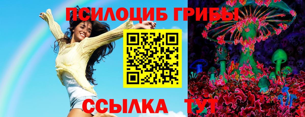 Псилоцибиновые грибы GOLDEN TEACHER  Вход с VPN  Магадан 